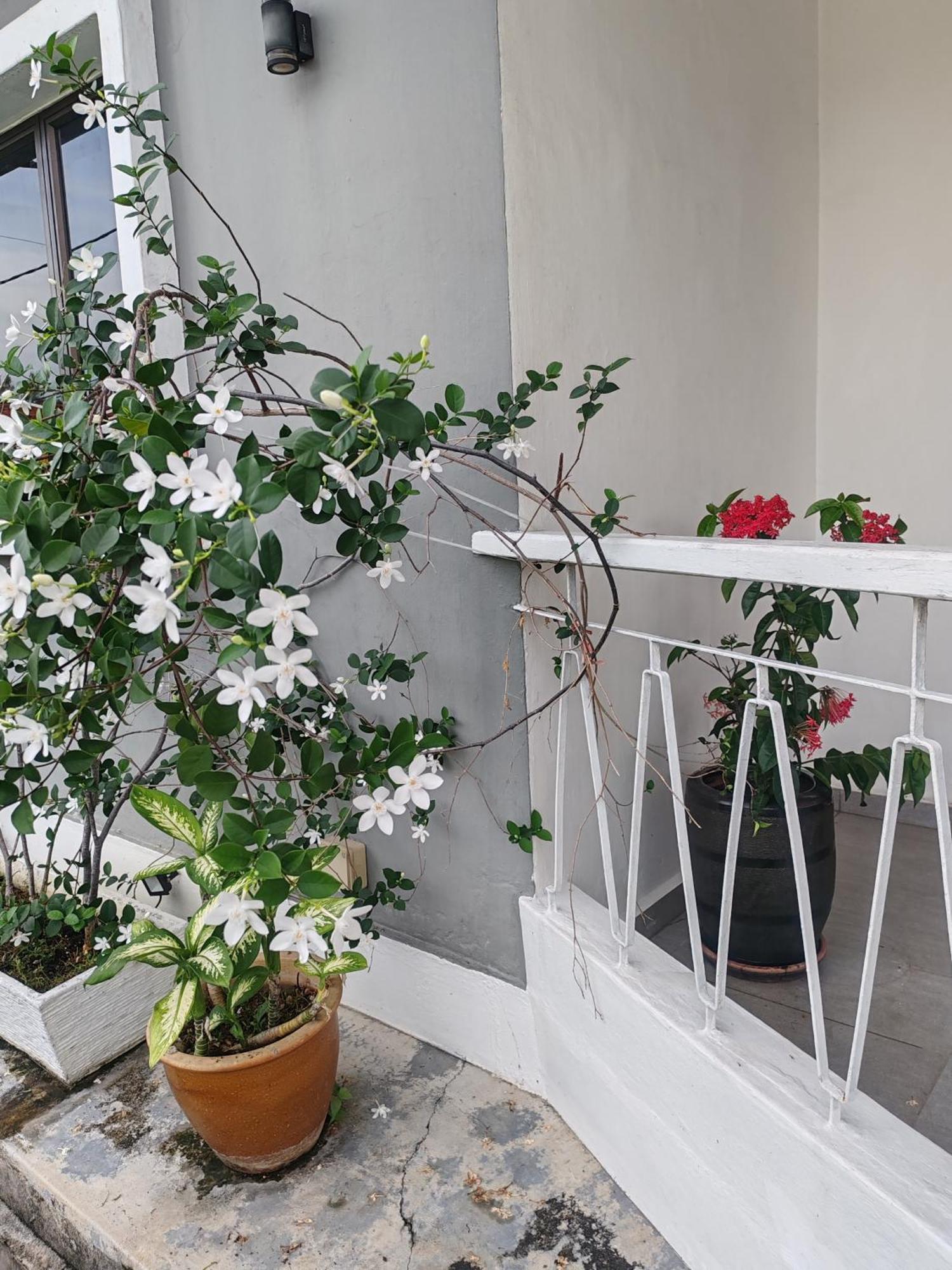 Melaka Beach Villa Kelebang Besar Экстерьер фото